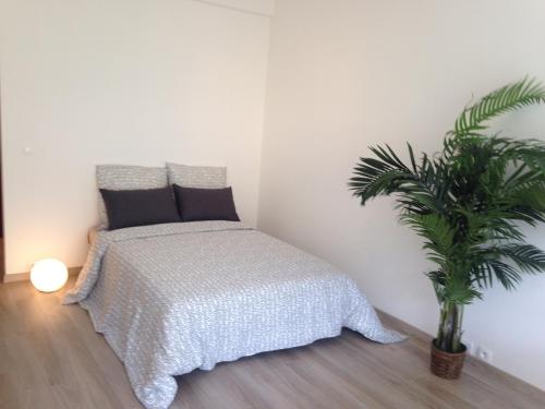 ニースにあるBel appartement de Gill centre ville Niceのベッドルーム(ベッド1台、鉢植えの植物付)