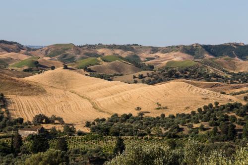 auliculiculiculiculiculiculiculiculiculiculiculiculiculiculic at Dattilo in Torre Melissa