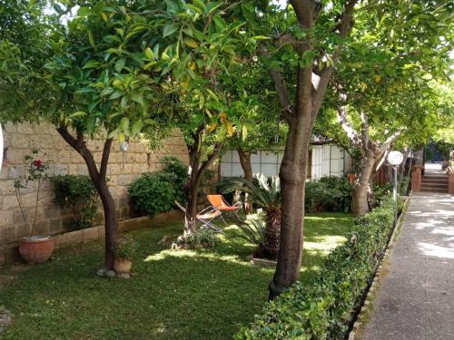 a garden with trees and a chair in the grass at Residenza Caserta Sud - Appartamento con giardino in Caserta