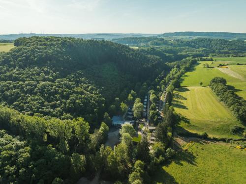 an aerial view of a river in a forest at Tiny Loft | 2 personen in Fouhren