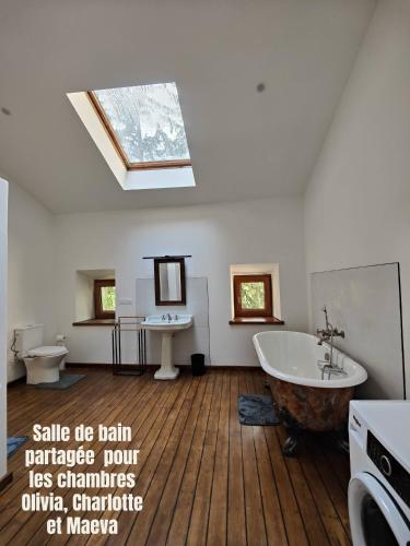 a bathroom with a bath tub and a skylight at Château de Fortis in Serrières-en-Chautagne