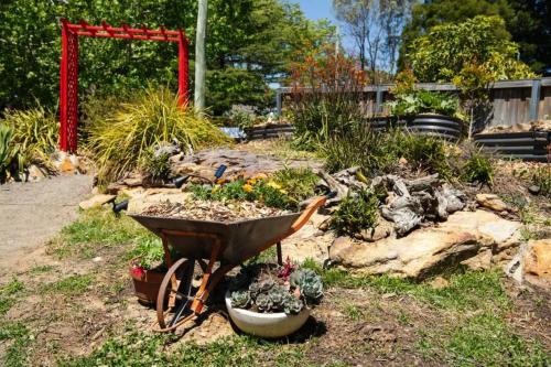 a garden with a wheelbarrow and plants in it at Blue Mountains Urban Farm Stay near Sydney in Hazelbrook