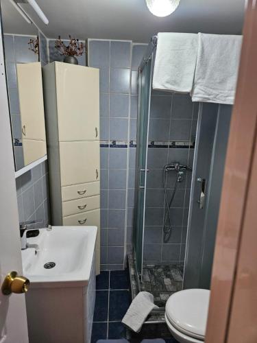 a bathroom with a shower and a sink and a toilet at Apartman Glavna in Kragujevac