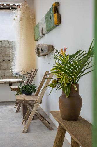 a room with two chairs and a plant in a vase at Casa Mangará in Cruz
