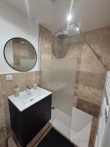 a bathroom with a sink and a shower with a mirror at Studio Dijon centre et facultés in Dijon