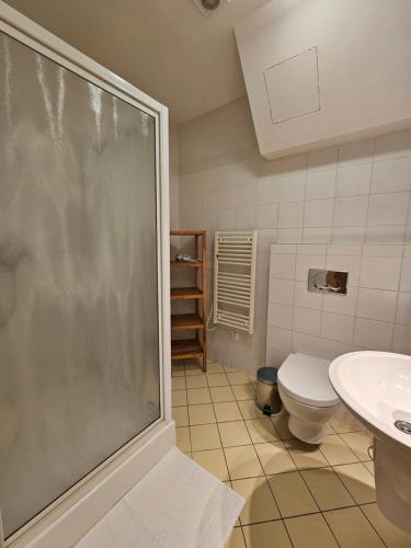 a bathroom with a shower and a toilet and a sink at Fatrapark 1 Apartments in Ružomberok
