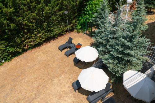 Κήπος έξω από το Asrin Park Hotel & Spa Convention Center