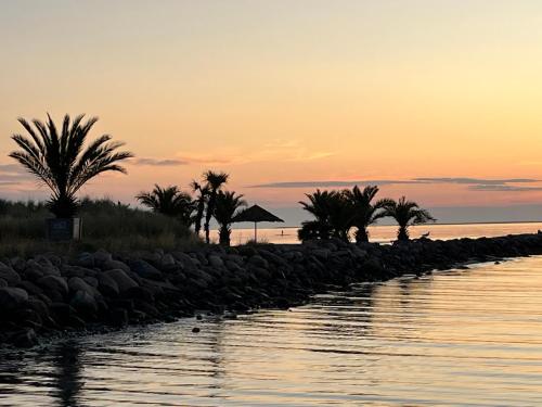 フレデリクスハウンにあるPalm Beachの水の集合