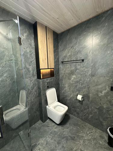 a bathroom with a toilet and a shower at Біля Плаю in Plav'ya