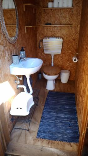 a bathroom with a sink and a toilet at Quinta de São José dos Montes in Ferreira do Zêzere