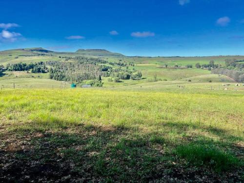 Un paisaje natural cerca del departamento