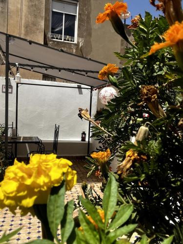 a table with flowers in front of a tent at Dar EL BAHIA - Spacious flat with large Terrace in Casablanca