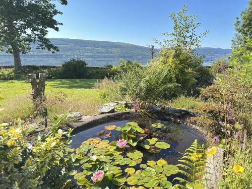 un étang avec un bouquet de nénuphars dans un jardin dans l'établissement Avenue Cottage, Inveraray, à Inveraray