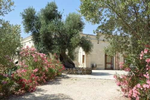 a house with a large tree in the yard at Agriturismo Masseria San Leonardo in Savelletri di Fasano