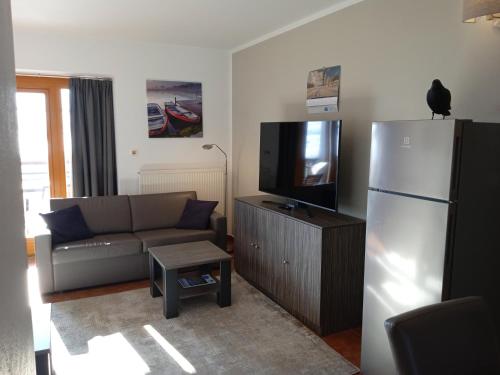a living room with a couch and a flat screen tv at apartement lipno nad vltavou pro 4 až 6 osob in Lipno nad Vltavou