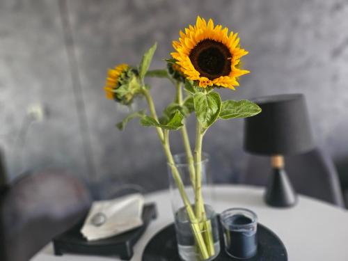 a vase filled with sunflowers sitting on a table at Przytulny apartament in Gdańsk