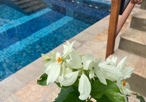a vase filled with white flowers next to a swimming pool at Tangalle Villa in Tangalle