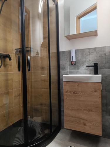 a bathroom with a shower and a sink at Pokoje gościnne Cyraneczka in Lądek-Zdrój