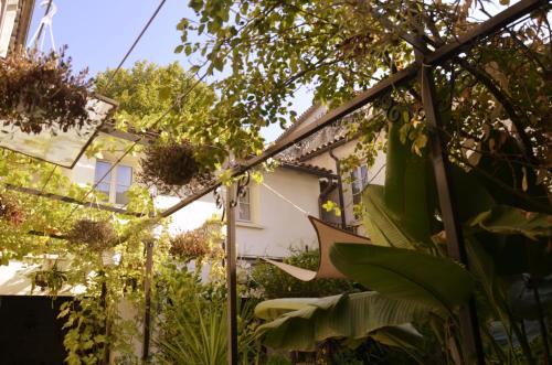 a garden with plants and a house in the background at La Maison des Augustins 4 stars Spa et Fitness in Avignon