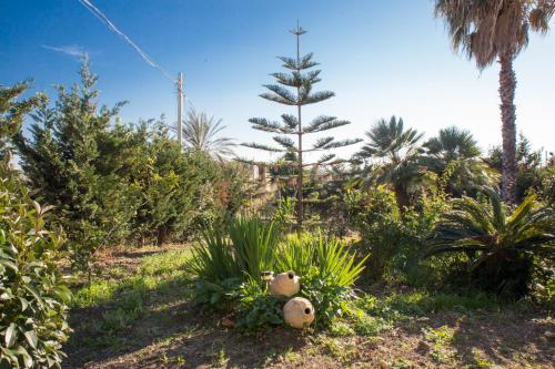 a teddy bear in a garden with trees and plants at B&B La Veranda in Licata