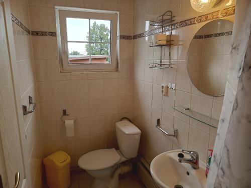 a bathroom with a toilet and a sink and a window at Penzion U Potoka in Nezdice
