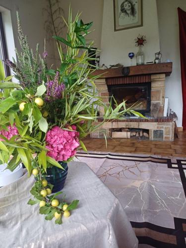 a living room with a table with flowers and a fireplace at Villa Aroleid in Port-Valais
