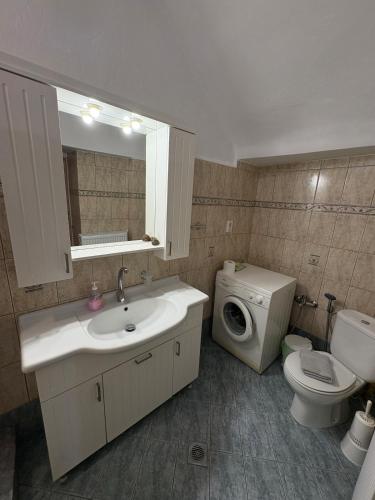 a bathroom with a sink and a washing machine at Καπνομάγαζο Λαδιά in Próti