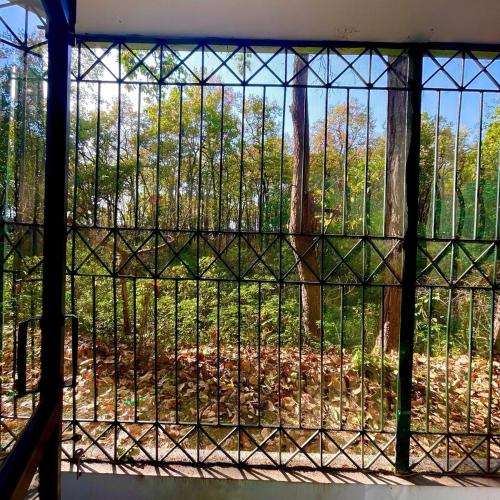 Taman di luar The Jungle Retreat 2 by Jabula Getaways