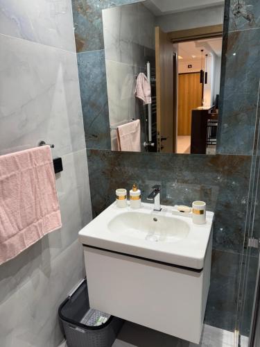 Koupelna v ubytování Appartement A43