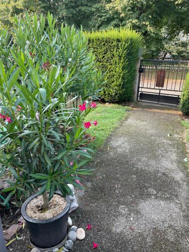 Jardín al aire libre en Villa Henrita im Elsass