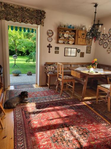 a dog laying on the floor in a living room at Ferienwohnungen Dr. Neubert in Krems an der Donau