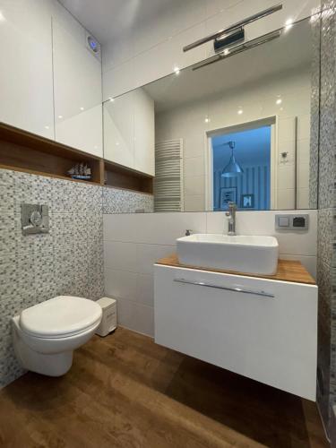 a bathroom with a toilet and a sink at Dormare in Grzybowo