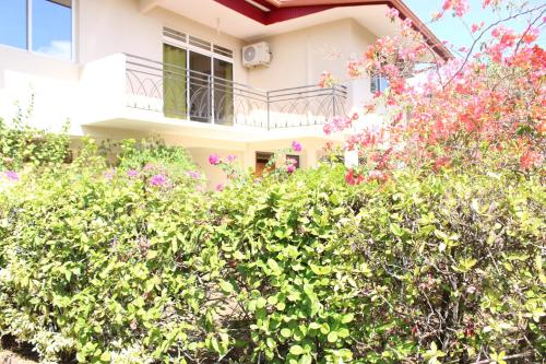 Le Colibri - Spacieux appartement avec 3 chambres