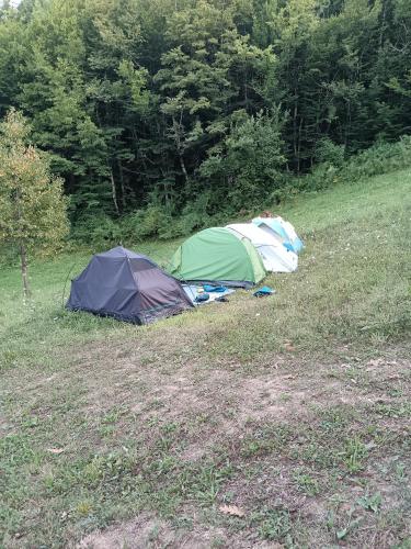 a group of tents in a grass field at Wild Camping Albareto in Albareto