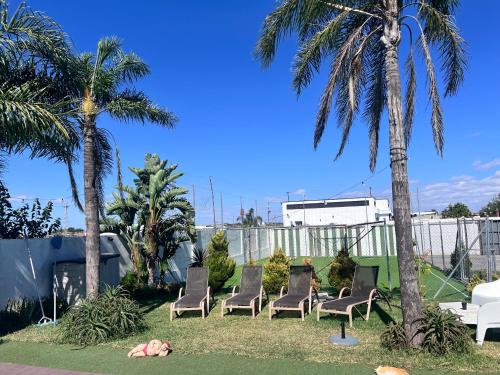 a group of chairs sitting in a yard with palm trees at Finca Rural Marmito in Sanlúcar de Barrameda