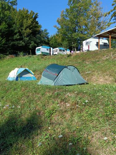 two tents sitting in a field of grass at Wild Camping Albareto in Albareto
