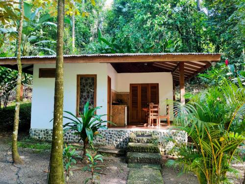 Finca Ardilla Jungle Lodgeにある庭