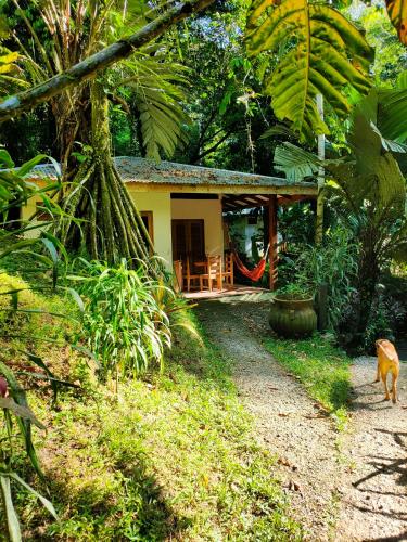 Finca Ardilla Jungle Lodgeにある庭