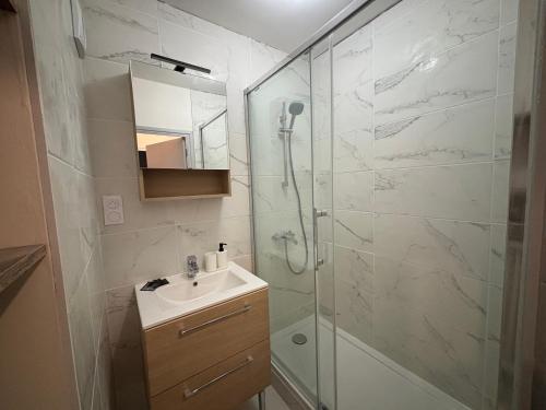 a bathroom with a shower and a sink and a mirror at Appartement lumineux à Royat in Royat