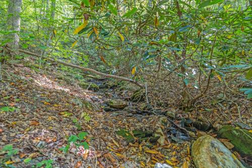 a trail in the woods with leaves on the ground at Our Place to Paws 4 Bd Lux Blue Ridge Mnt Cabin in Lansing