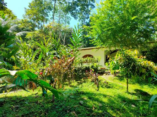 Finca Ardilla Jungle Lodgeにある庭