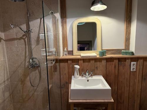 Un baño con lavabo, ducha y espejo. en Peter 7 "Paul", en Görlitz