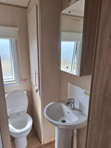 a bathroom with a toilet and a sink and a mirror at Caravan at the seaside in Great Yarmouth