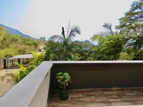 a view from the balcony of a house with a plant at The Executive - Exclusive Self-Catering Apartments - Ezulwini in Ezulwini