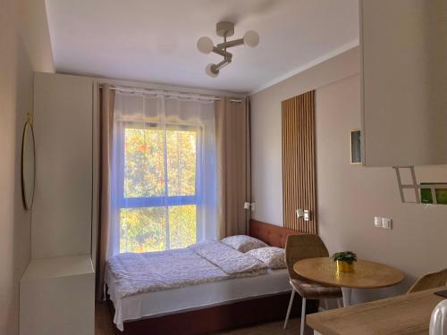 a bedroom with a bed and a window at Apartament Motyl in Warsaw