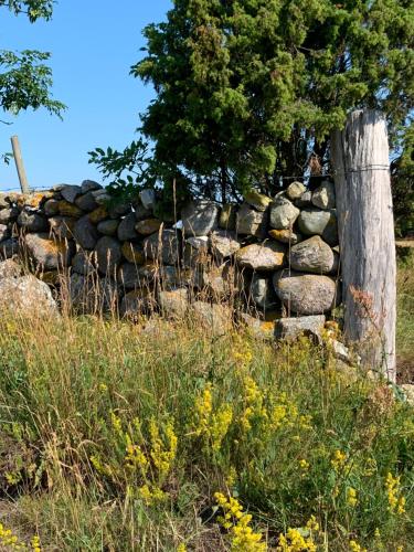a stone wall in a field with a tree at Stuga på gård i Böda socken in Löttorp