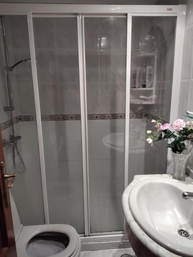 Koupelna v ubytování Habitación individual Alameda de Osuna