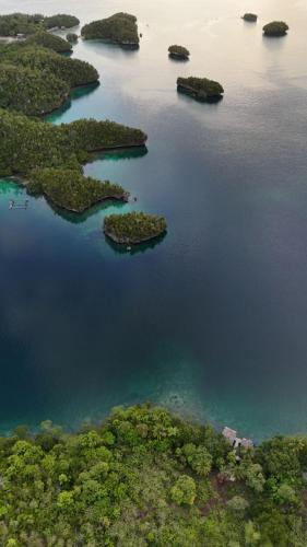 an aerial view of islands in a body of water at "Shady Sea Raja Ampat" in Besir