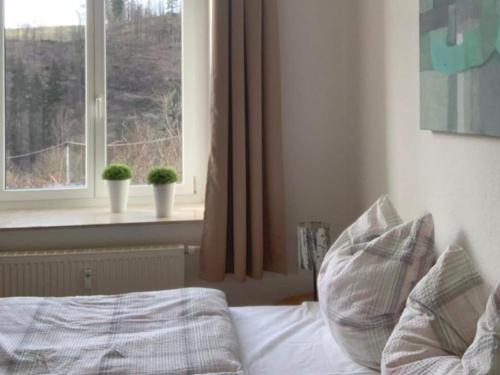 a bed with pillows in a bedroom with a window at Retreat in the Ore Mountains in Wünschendorf