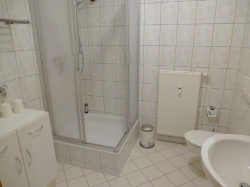 a bathroom with a shower and a toilet and a sink at Retreat in the Ore Mountains in Wünschendorf